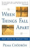 When_Things_Fall_Apart-2