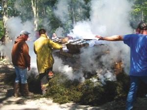 Stacking of the steamer clams at Allen's Neck Meeting Clambake, 2013. Courtesy of Joseph E. Ingoldsby.