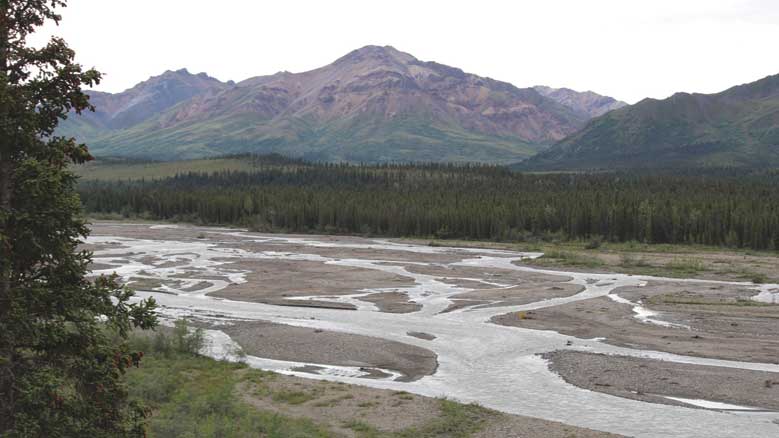 A braided river at the base of the Alaska Range, Denali National Park and Preserve.