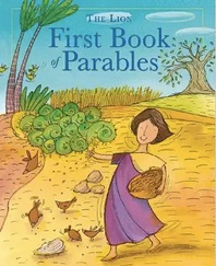 The_Lion_First_Book_of_Parables__Lois_Rock__Barbara_Vagnozzi__9780745964096__Amazon_com__Books