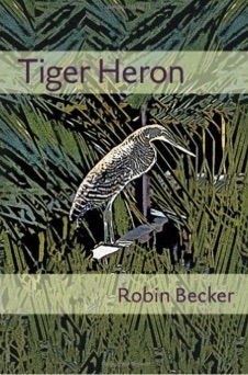 Tiger_Heron__Pitt_Poetry_Series___Robin_Becker__9780822962984__Amazon_com__Books