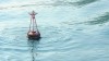 Target Practice at the Beach buoy
