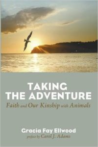 Taking the Adventure cover