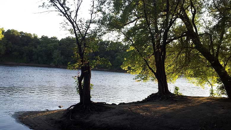 Peaceful spot along a riverbank.