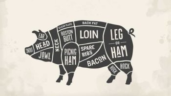 Butcher Hogs for Sale baily