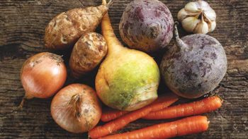 Vegetarianism in Quaker History (c) Mara Zemgaliete
