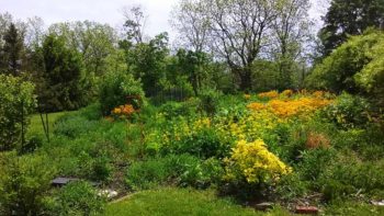 The Great Food Transformation root1