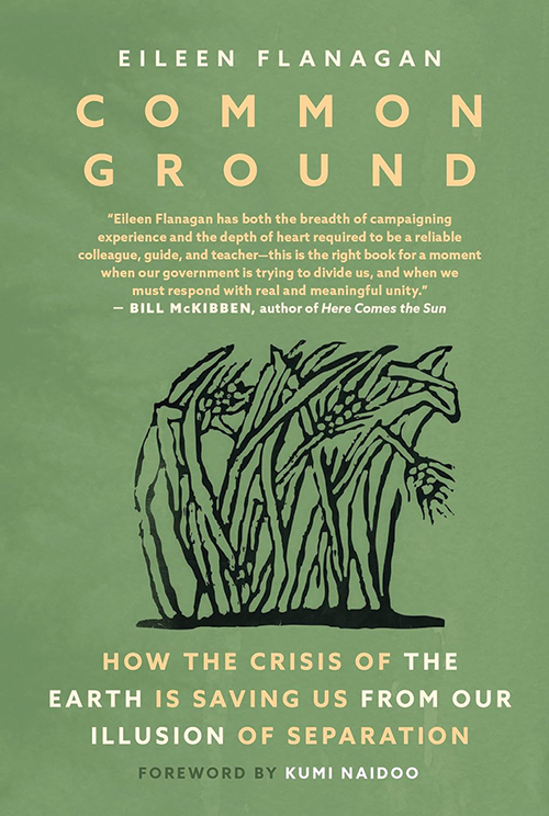 Common Ground: How the Crisis of the Earth Is Saving Us from Our Illusion of Separation
