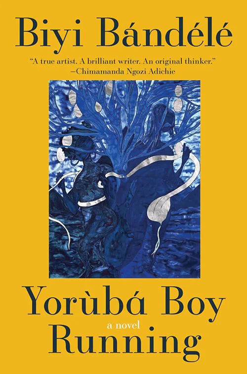 Kijana wa Yorùbá Anayekimbia: Riwaya