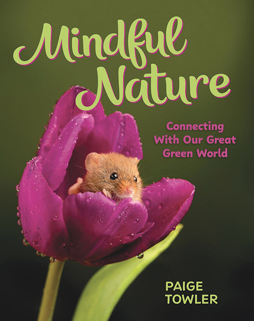Mindful Nature: Connecting with Our Great Green World