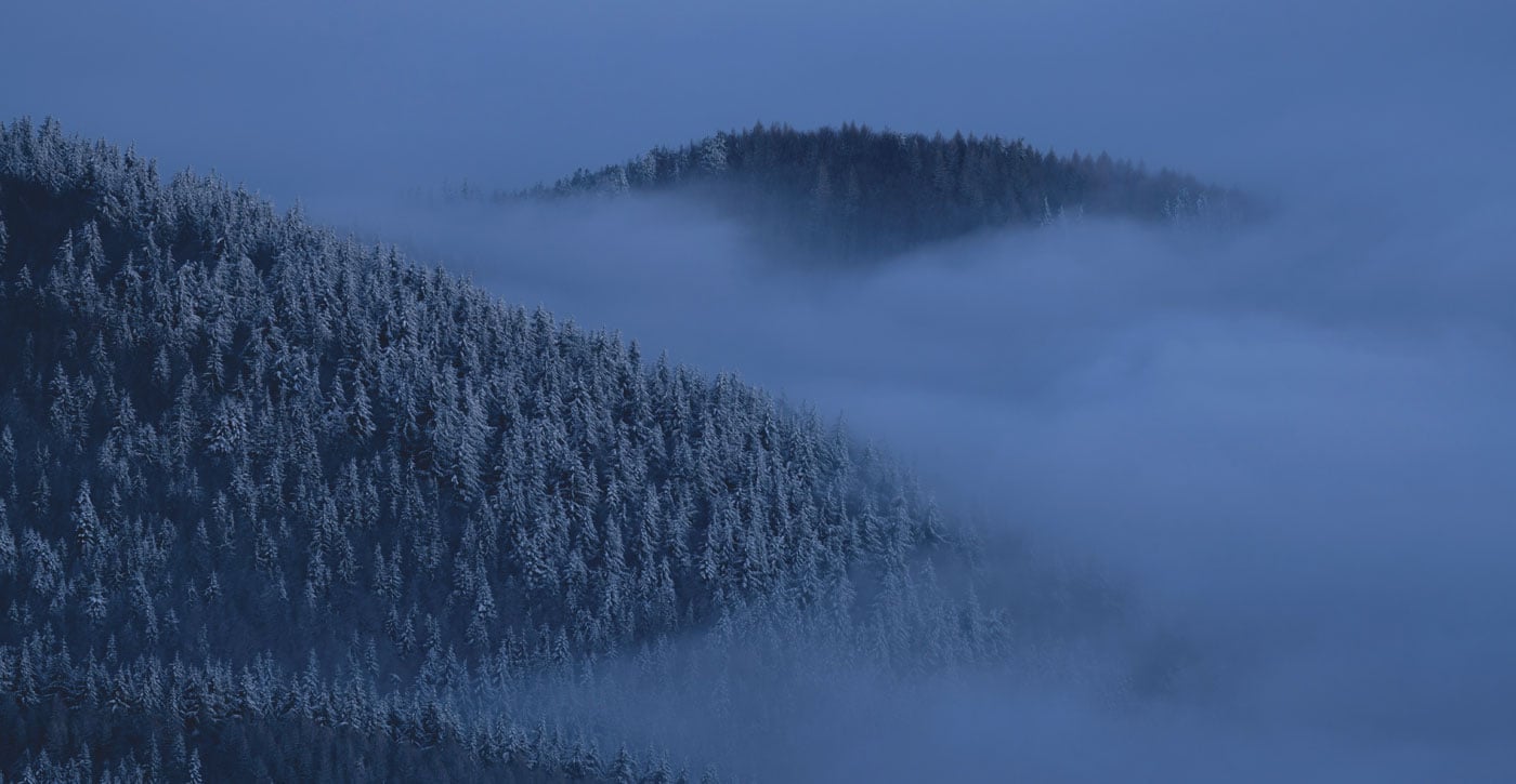 snowy and foggy mountain scene